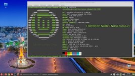 fastfetch-linux.jpg